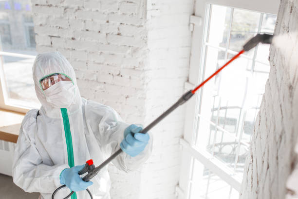 Doffing, TX Mold Removal Company